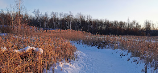 Photo of Laurier Woods Conservation Area - Brule St, North Bay, ON P1A 3Z5